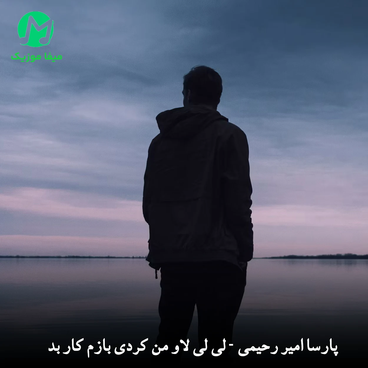 دانلود آهنگ پارسا امیر رحیمی لی لی لاو من کردی بازم کار بد دانلود آهنگ لی لی لاو من کردی بازم کار بد از پارسا امیر رحیمی