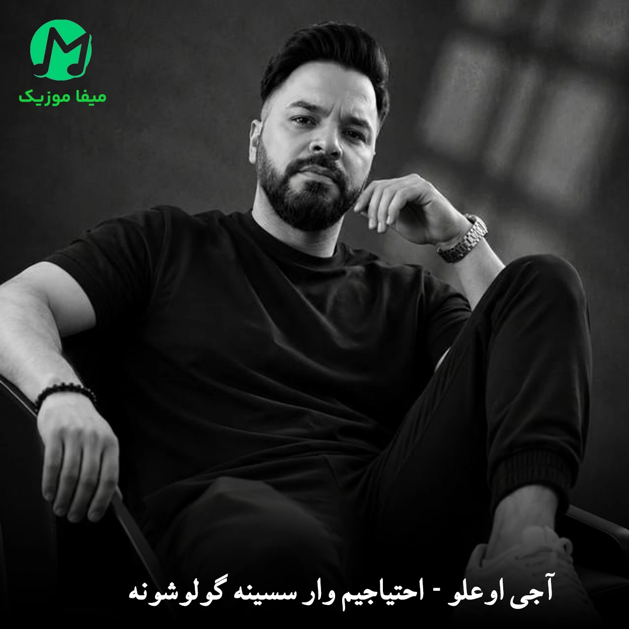 دانلود آهنگ احتیاجیم وار سسینه دانلود آهنگ احتیاجیم وار سسینه İhtiyacım Var + متن و ترجمه (ترکی)