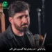 دانلود مداحی شب یلدای لیلا گیسوی علی اکبر از پیام کیانی🖤