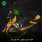 دانلود مداحی عمه جون بیا فصل ریحونه از محمدحسینی شفیعی