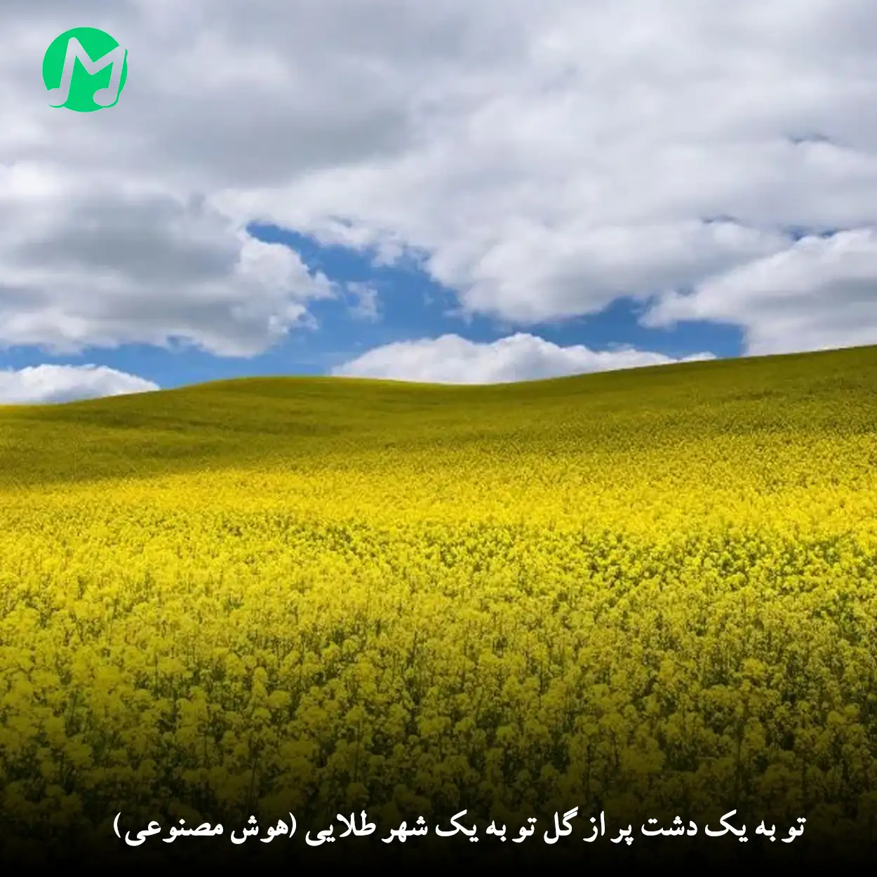 دانلود آهنگ تو به یک دشت پر از گل تو به یک شهر طلایی (هوش مصنوعی)