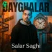 دانلود آهنگ دیقه لر از سالار ساقی (Salar Saghi Dayghalar)