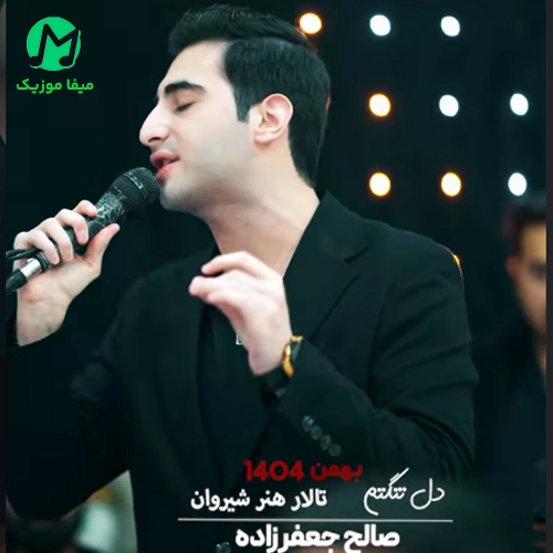 دانلود آهنگ آی دلتنگتم کسی و ندارم درد و دل کنم از صالح جعفرزاده