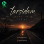دانلود آهنگ ترسیدم از احمد سلو و پناه (ترسم از این بود که بری آخرشم تو رفتی)