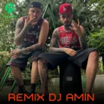 دانلود ریمیکس حالم خوب نیست از حسین تی ام Remix + ورژن اصلی