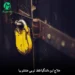 دانلود آهنگ علاج این دلتنگیا فقط تویی عشقم بیا اصلی + ورژن هوش مصنوعی کامل