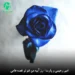 دانلود آهنگ رز آبیه من غم تو غصه هامی (کامل MP3 / عاشقانه)