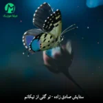 دانلود آهنگ تو گلی از تیکانم از ستایش صادق زاده + کلیپ اجرای زنده