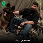 دانلود آهنگ زندان از محمد محرمی / Mohammad Moharammi : Zendan