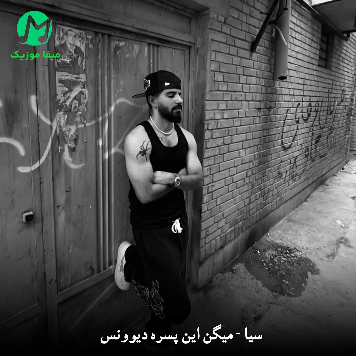 دانلود آهنگ میگن این پسره دیوونس (CIA - Mustang سیا موستانگ)