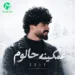 دانلود آهنگ غمگینه حالوم ز دست تو حالی نداروم جونی نداروم (لری غمگین MP3)