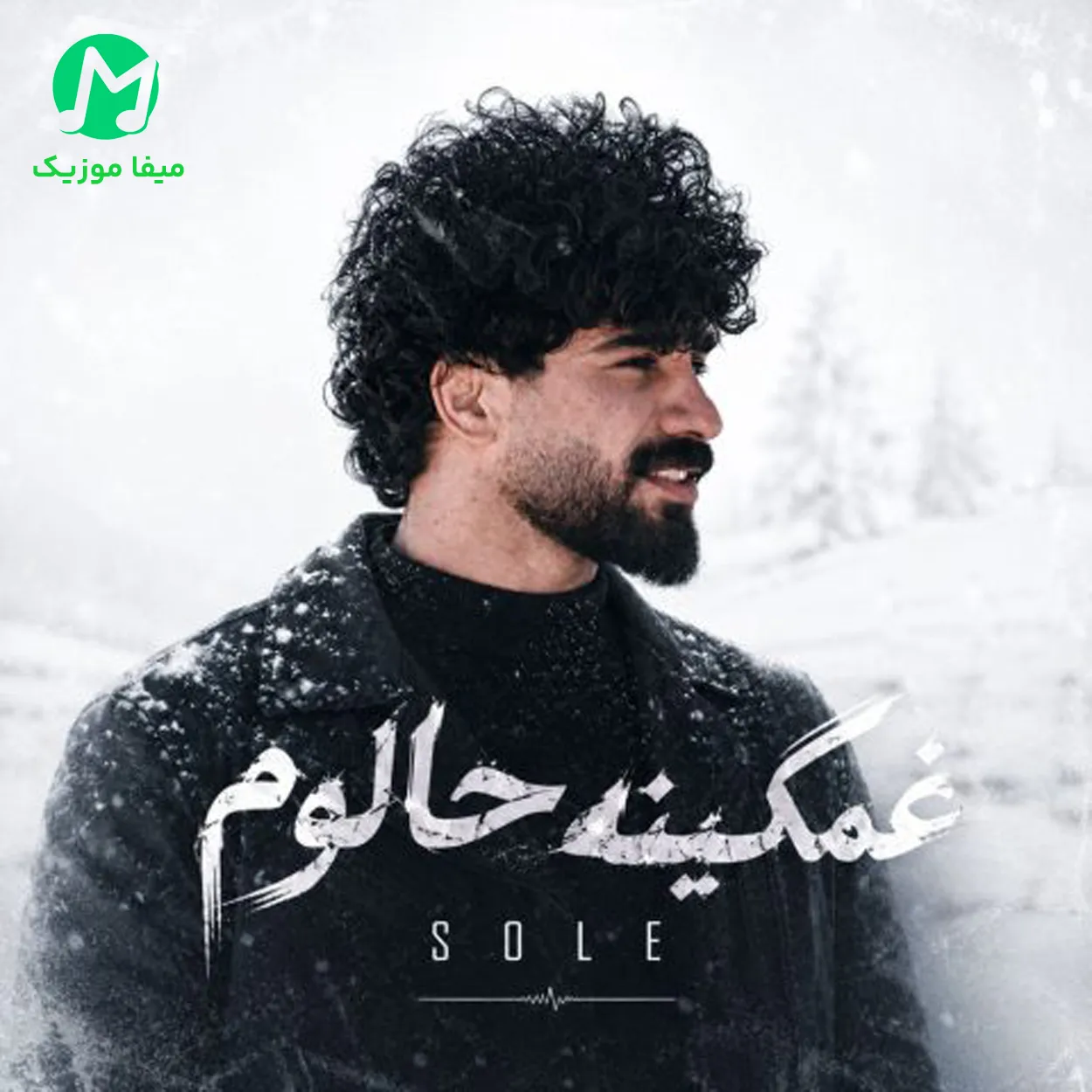 دانلود آهنگ غمگینه حالوم ز دست تو حالی نداروم جونی نداروم (لری غمگین MP3)