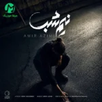 دانلود آهنگ نیم شب از امیر عظیمی Amir Azimi – Nim Shab دانلود آهنگ نیم شب از امیر عظیمی Amir Azimi – Nim Shab