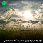 دانلود آهنگ بهار اومد تو نیومدی ببین شده درخت گیلاسمون صورتی + ریمیکس رپی غمگین