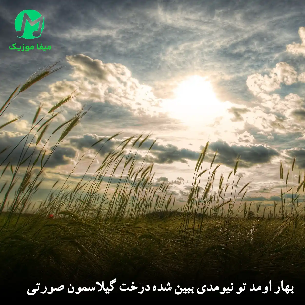 دانلود آهنگ بهار اومد تو نیومدی ببین شده درخت گیلاسمون صورتی + ریمیکس رپی غمگین دانلود آهنگ بهار اومد تو نیومدی ببین شده درخت گیلاسمون صورتی + ریمیکس رپی غمگین