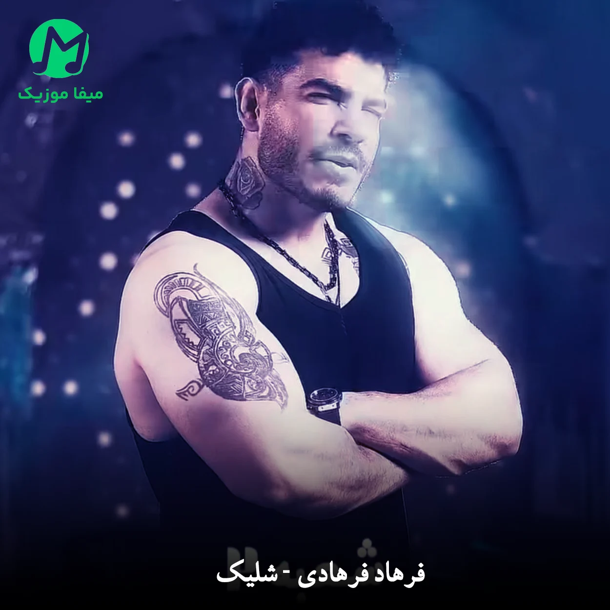 دانلود آهنگ شلیک از فرهاد فرهادی Farhad Farhadi - Shelik