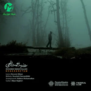 دانلود آهنگ نگرانتم از روزبه نعمت الهی (متن کامل MP3) Roozbeh Nematollahi : Negaranetam