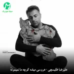 دانلود آهنگ عروسی میشه کوچه ما از علیرضا طلیسچی / دلی + کلیپ اجرای زنده دانلود آهنگ عروسی میشه کوچه ما از علیرضا طلیسچی / دلی + کلیپ اجرای زنده