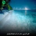 دانلود آهنگ بندر لب دریا جوانان جونن قنبر نارویی و غلامحسین نظری (کامل)