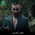 دانلود آهنگ سگ خورد از طاهاس (با همشون قهر کن منو یه کمی درک کن)