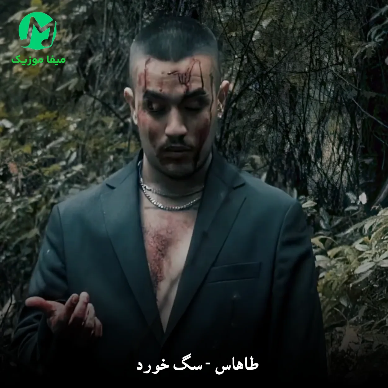 دانلود آهنگ سگ خورد از طاهاس (با همشون قهر کن منو یه کمی درک کن)