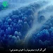 دانلود آهنگ گلی گم کردم میجویم او را (هوش مصنوعی)