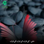 دانلود آهنگ کی قراره کی قراره کی قراره از دشی + اجرای زنده دانلود آهنگ کی قراره کی قراره کی قراره از دشی + اجرای زنده