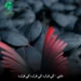 دانلود آهنگ کی قراره کی قراره کی قراره از دشی + اجرای زنده