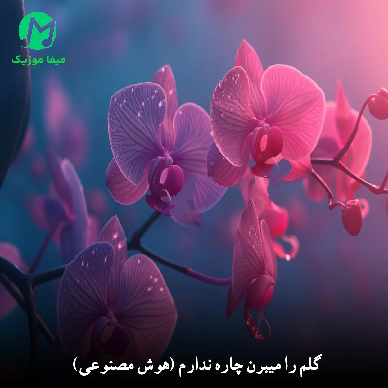 دانلود آهنگ هوش مصنوعی ﮔﻠﻢ را ﻣﻴﺒﺮن ﭼﺎره ﻧﺪارم (افغانی)