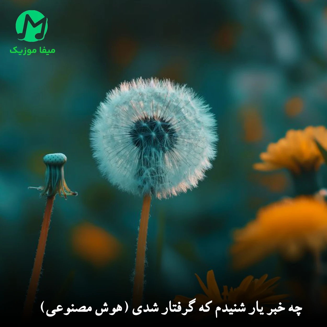 دانلود آهنگ چه خبر یار شنیدم که گرفتار شدی (هوش مصنوعی/ متن کامل)