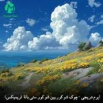 دانلود ریمیکس چوک شوکور بین شوکور سنی بانا ورنه (ترکی ترند اینستاگرم + اصلی) دانلود ریمیکس چوک شوکور بین شوکور سنی بانا ورنه (ترکی ترند اینستاگرم + اصلی)