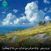 دانلود ریمیکس چوک شوکور بین شوکور سنی بانا ورنه (ترکی ترند اینستاگرم + اصلی)