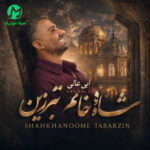 دانلود آهنگ شاه خانم تبرزین از ابی عالی