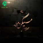 دانلود آهنگ میگن مرده از مهراب (به من نگو دوست دارم که باورم نمی‌شه) متن کامل غمگین