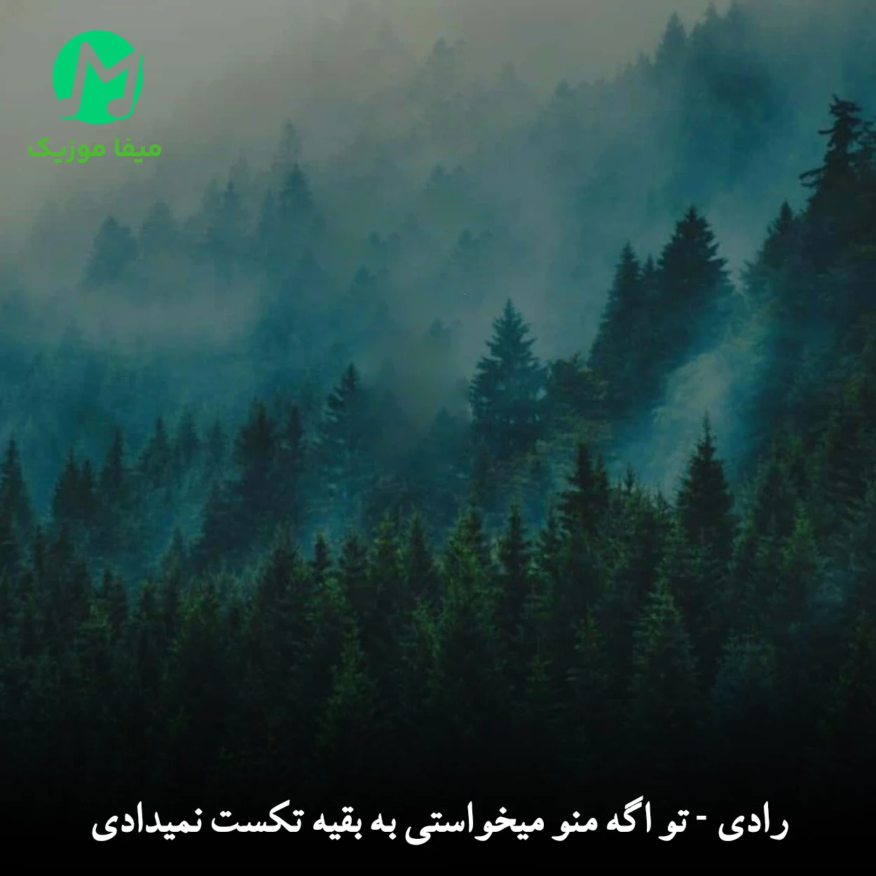 دانلود آهنگ تو اگه منو میخواستی به بقیه تکست نمیدادی رادی / کامل MP3