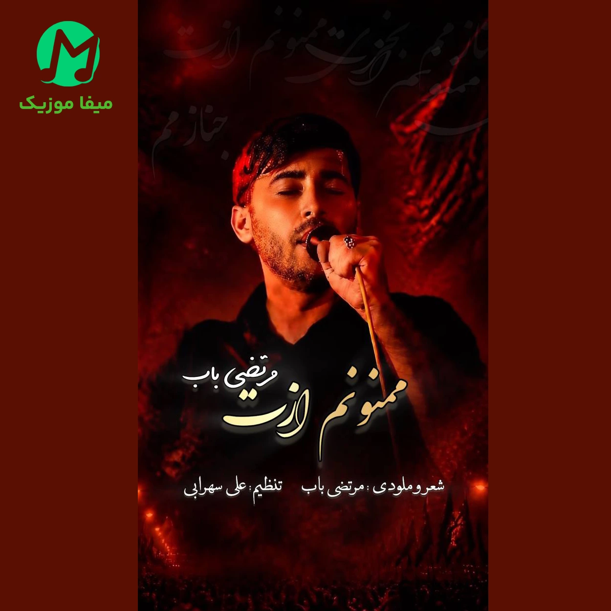 دانلود آهنگ ممنونم ازت از مرتضی باب (جنازم ببری ممنونم ازت) متن کامل mp3