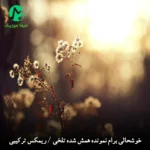 دانلود آهنگ خوشحالی برام نمونده همش شده تلخی (ریمیکس غمگین ترکیبی کردی)