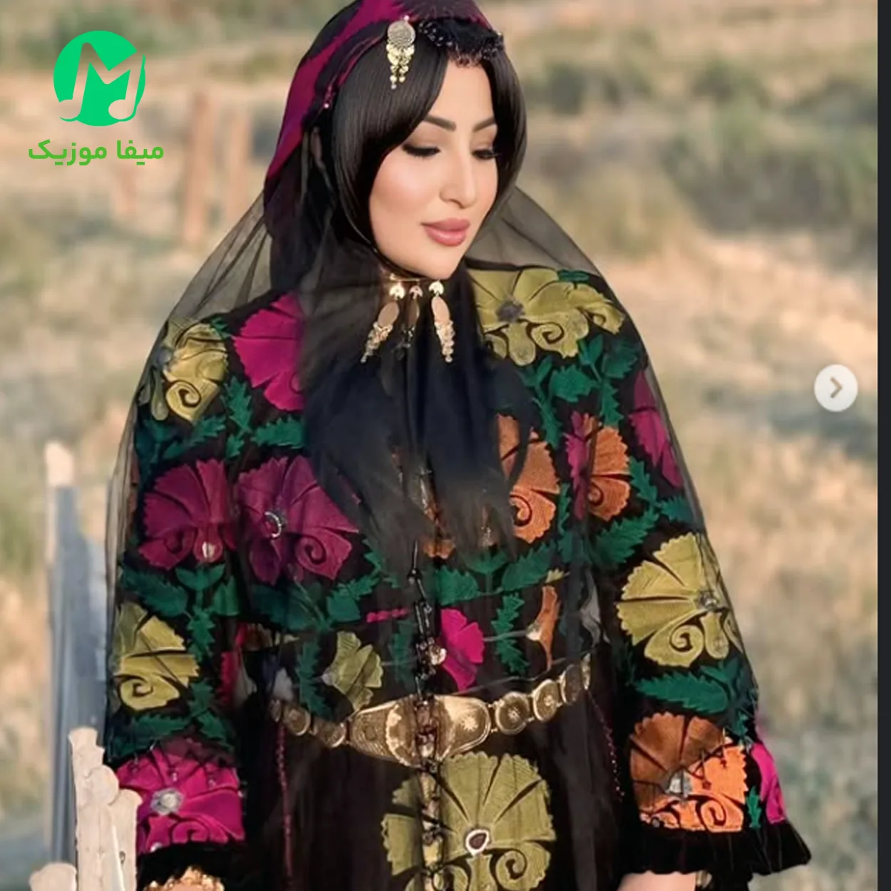 دانلود آهنگ تقصیر از دیارا (حالم نه خشه هیچی نگو اصلا حرف نزن) لری MP3