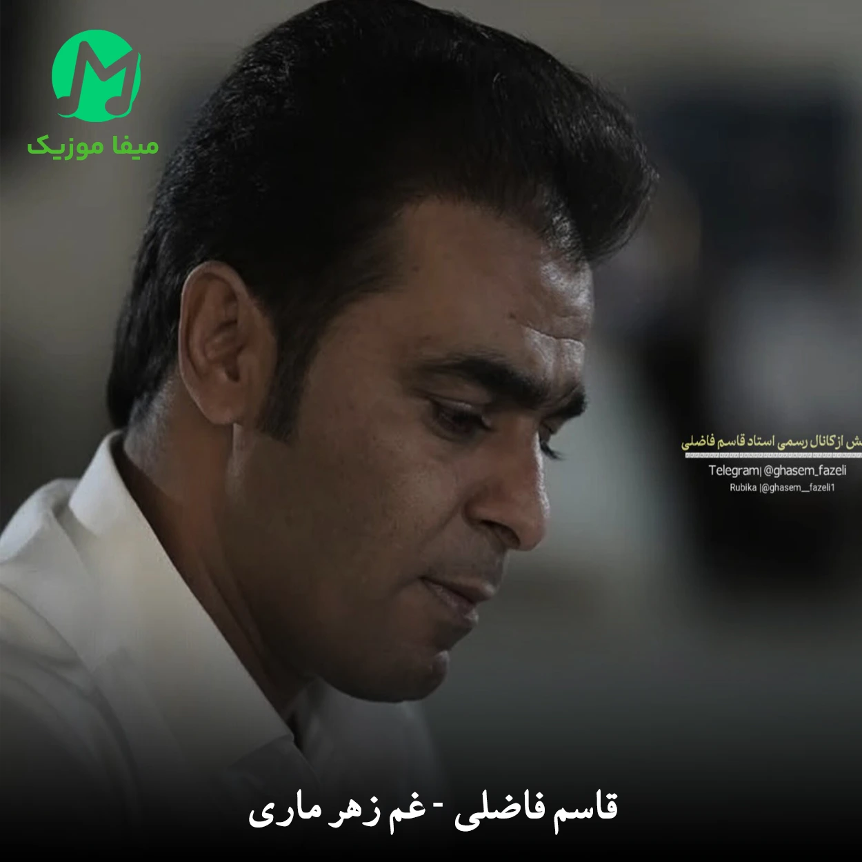 دانلود آهنگ غم زهرماری ولم نیکنه از قاسم فاضلی (غمگین بختیاری)