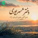 دانلود آهنگ دﺧﺘﺮ ﺷﻬﺮﻳﻮری ﻫﻢ ﮔﻠﻰ ﻫﻢ دﻟﺒﺮی / کیفیت اصلی