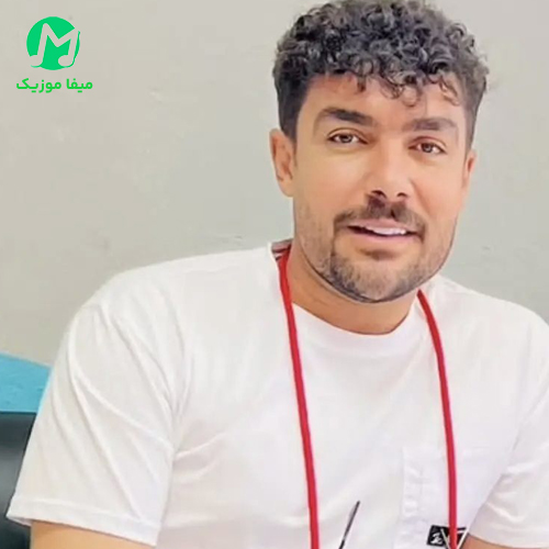 دانلود آهنگ دیوار خشک و زردم بی تو غریب ای شهرم از فرشید حکمتی | همراه متن