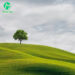دانلود آهنگ دیگه نه حس و حال شادی مونده تو وجودم