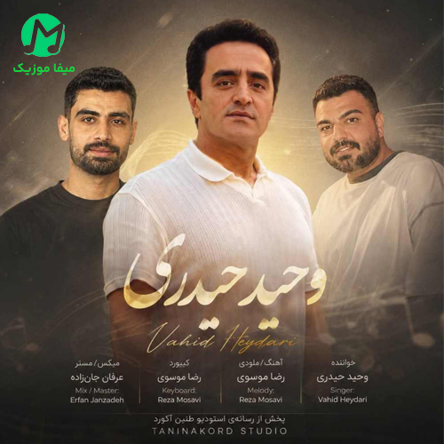 دانلود آهنگ سرم درد میکند سربند بیارین از وحید حیدری / ورژن مازندرانی