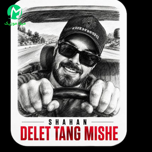 دانلود آهنگ دلت تنگ میشه از شاهان / متن کامل