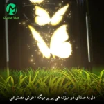 دانلود آهنگ دل به صدای در میزنه هی پر پر میگه (هوش مصنوعی) دانلود آهنگ دل به صدای در میزنه هی پر پر میگه (هوش مصنوعی)