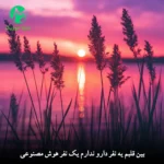 دانلود آهنگ ﺑﻴﻦ ﻗﻠﺒﻢ ﻳﻪ ﻧﻔﺮ دارو ﻧﺪارم ﻳﮏ ﻧﻔﺮ هوش مصنوعی MP3