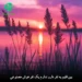 دانلود آهنگ ﺑﻴﻦ ﻗﻠﺒﻢ ﻳﻪ ﻧﻔﺮ دارو ﻧﺪارم ﻳﮏ ﻧﻔﺮ هوش مصنوعی MP3