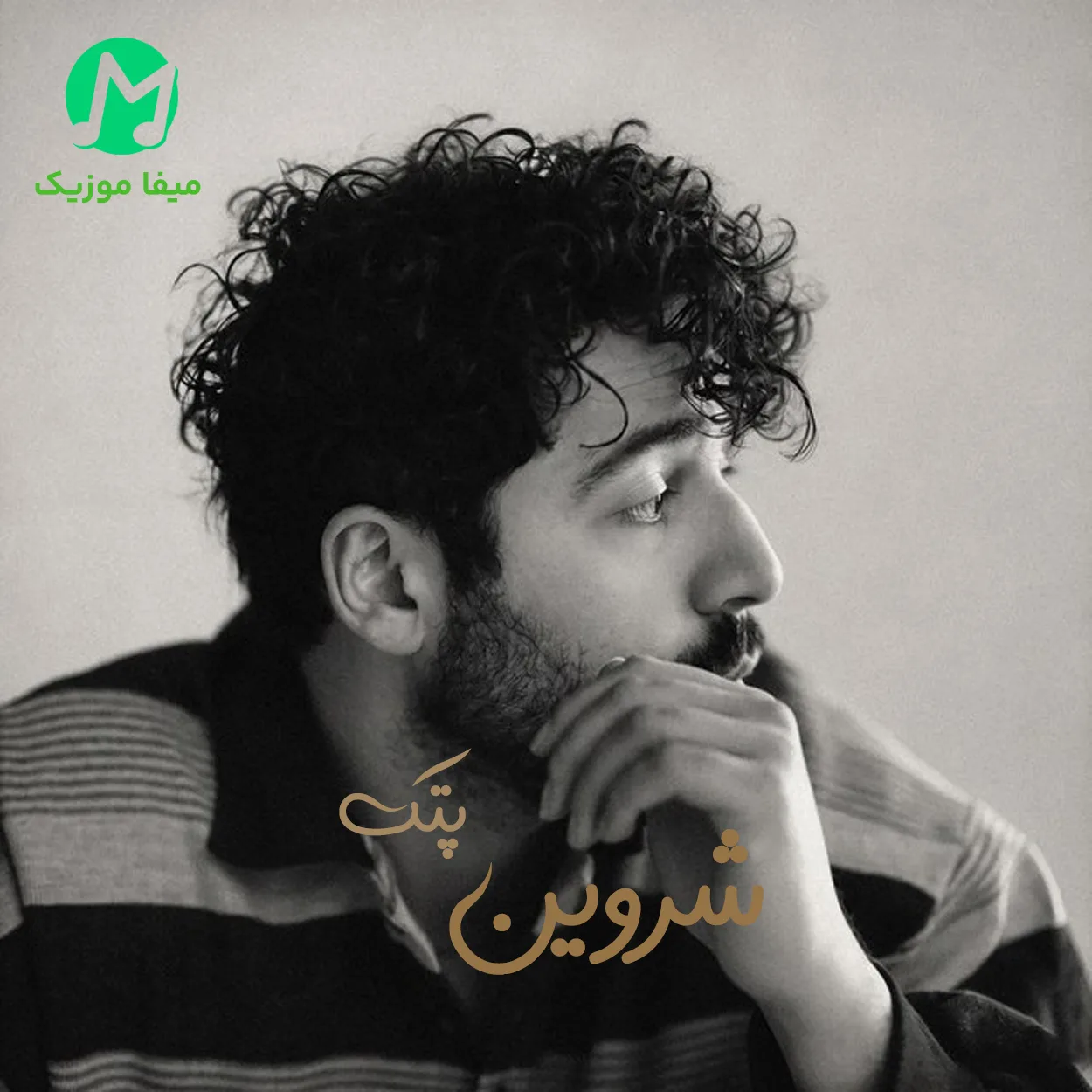 دانلود آهنگ پتک از شروین حاجی پور (من به تو اعتماد کردم میدونم اشتباه کردم)