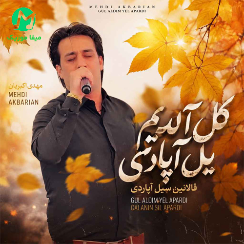 دانلود آهنگ گل آلدیم یل آپاردی قالانین سیل آپاردی از مهدی اکبریان / ترکی شاد