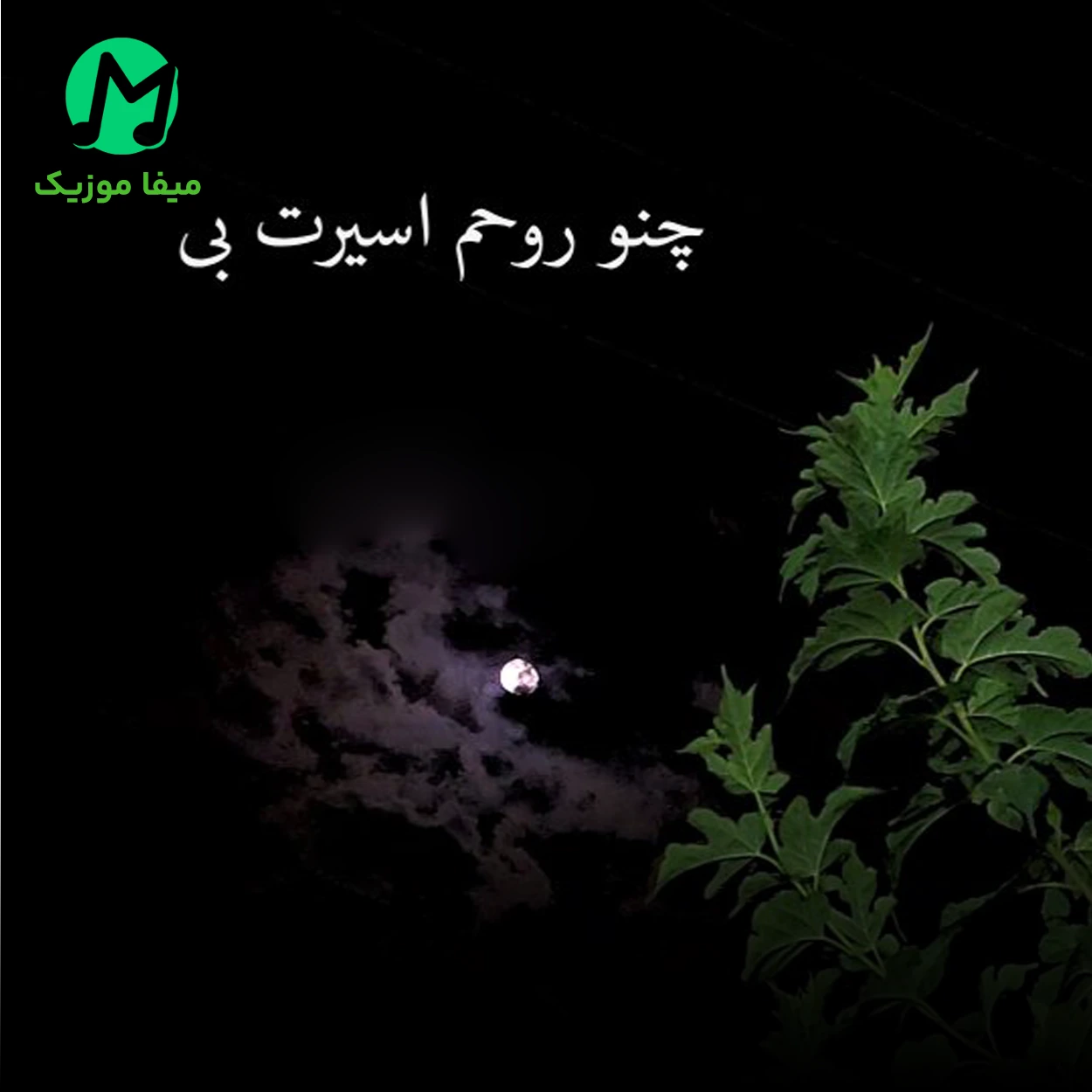 دانلود آهنگ حسن ترکاشوند چنو روحم اسیرت بی دانلود آهنگ چنو روحم اسیرت بی از حسن ترکاشوند (لری غمگین)